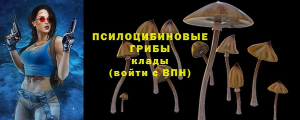 ALPHA-PVP Алексин