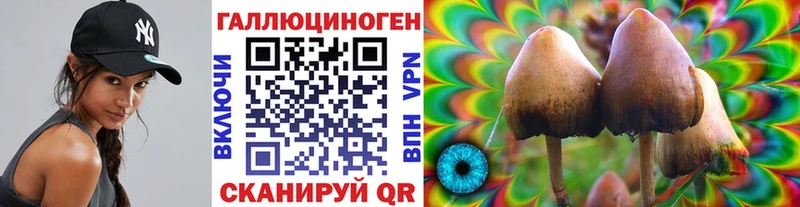 купить наркотики цена  Белгород  Галлюциногенные грибы Psilocybine cubensis 