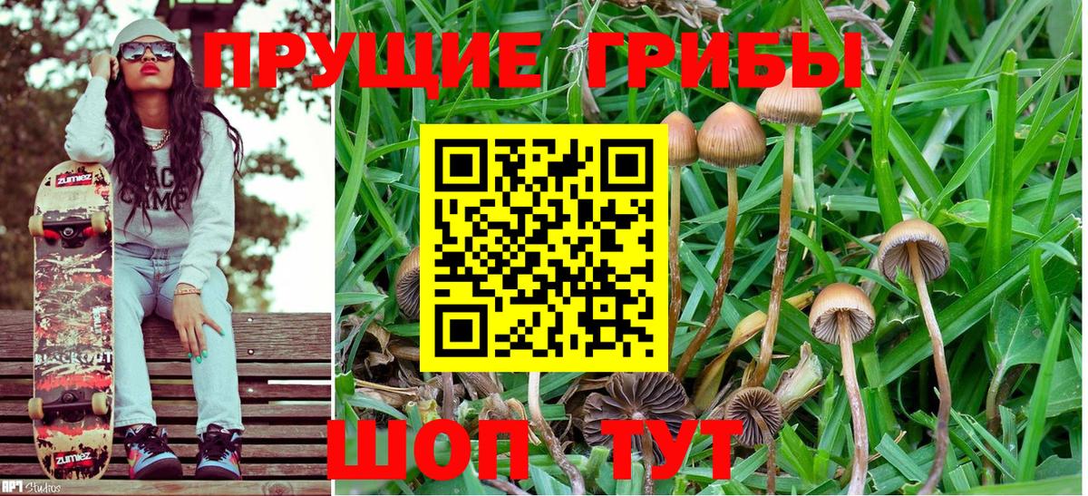 Псилоцибиновые грибы MAGIC MUSHROOMS Белгород