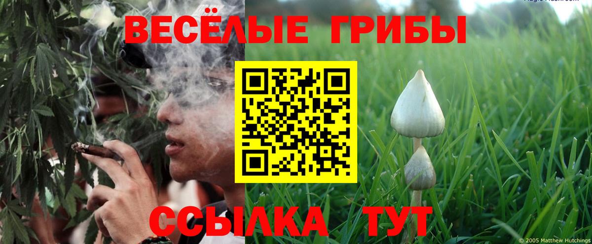 Белгород  Галлюциногенные грибы ЛСД  Галлюциногенные грибы Psilocybine cubensis  Вход с VPN 